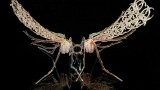 2321d2f0-cf66-4c1d-99d0-e28c874e8430bug