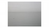c6e6f0d8-2e44-46e5-9698-3e7f3162d881ים וסירה