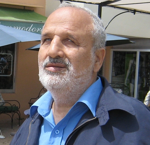ארז ביטון