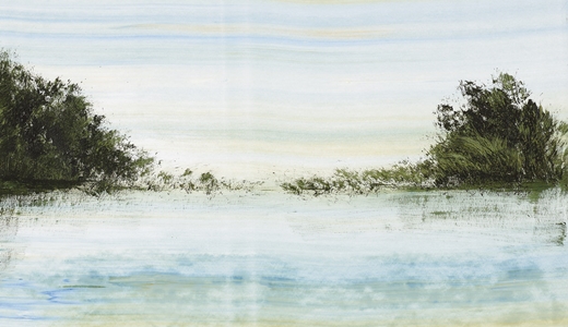 birenboim520x300