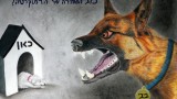 כלב השמירה של הדמוקרטיה - מאי מורנו מקום ראשון