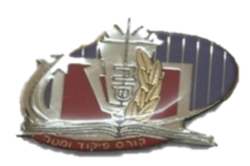 לוגו קורס פומ לאתר